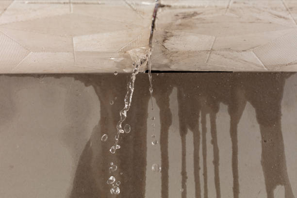 Professional Structural Drying technician working in Montrose, NY